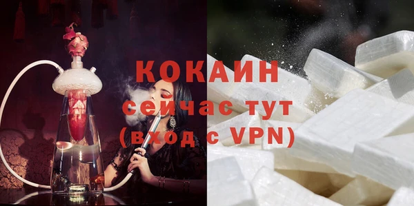 твердый Алексин