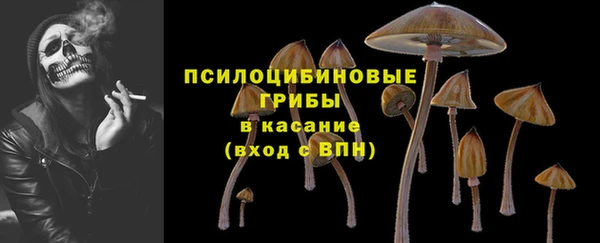 твердый Алексин