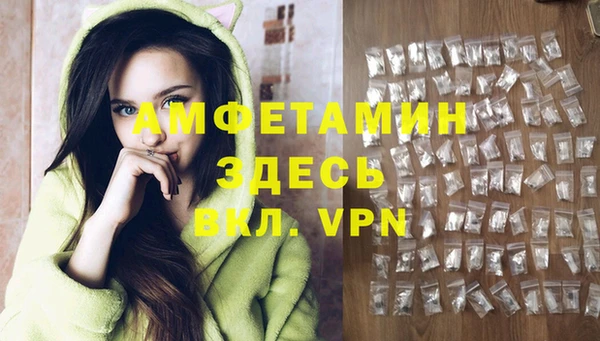 PSILOCYBIN Алзамай