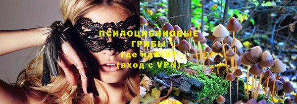 PSILOCYBIN Алзамай