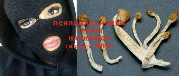 MDMA Алексеевка