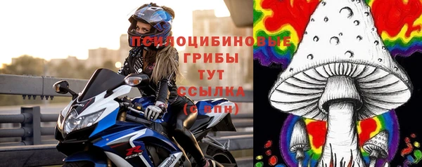 твердый Алексин