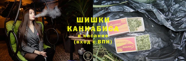 твердый Алексин