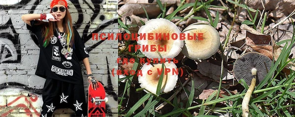 PSILOCYBIN Алзамай