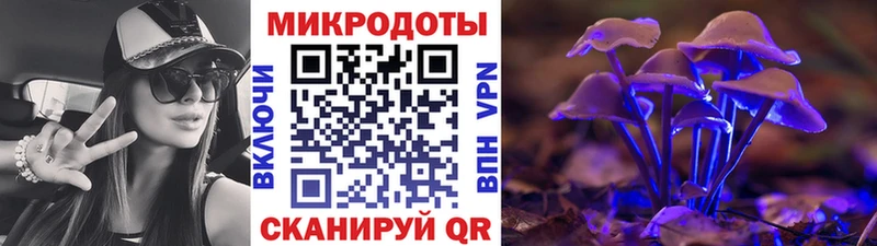 Псилоцибиновые грибы GOLDEN TEACHER  блэк спрут ССЫЛКА  Алексеевка 