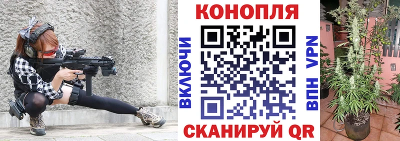 как найти закладки  Алексеевка  Канабис марихуана 